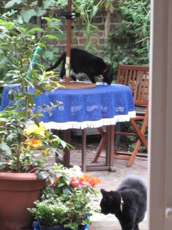 Holmewood Homestay Londres Quarto foto